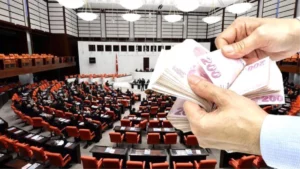 torba-yasa-nedir-torba-yasada-neler-var-13711888_1627_amp